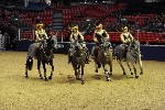 Quadrille - 00865